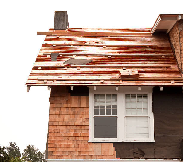 Best Custom Trim and Detailing for Siding  in Niles, MI